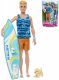MATTEL BRB Barbie pank surfa Ken hern set s doplky v krabici