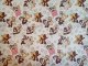 Bavlnn ltka metr e 240 cm - Rychl rota Chip a Dale
