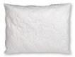 Polt proev PETRA 70x90 1000g