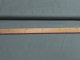 Metr bavlna e 240 cm - stedn ed (granit)