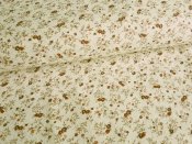 Bavlnn ltka metr - Drobn kvtky na smetanov