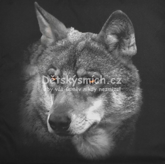 3D povlak na polt 43x43cm - Vlk - Kliknutm na obrzek zavete